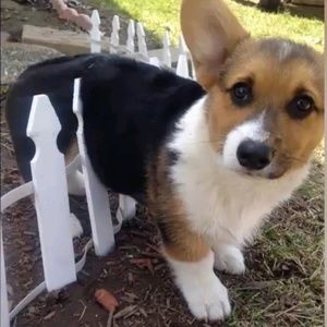 Meet your Posher, Chloe